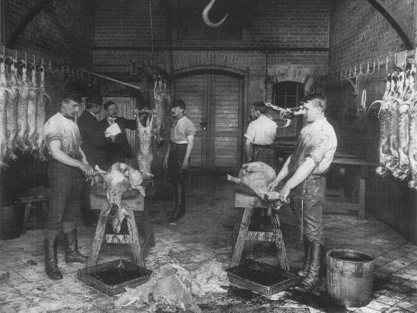 Slaughterhouse Cases, 83 U.S. 36&nbsp;(1872)