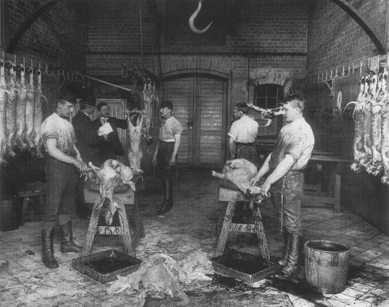 AP_LMSCC_SlaughterHouse