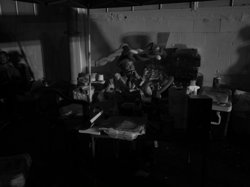 Federalist Papers (EXCERPTS): Executive&nbsp;Power